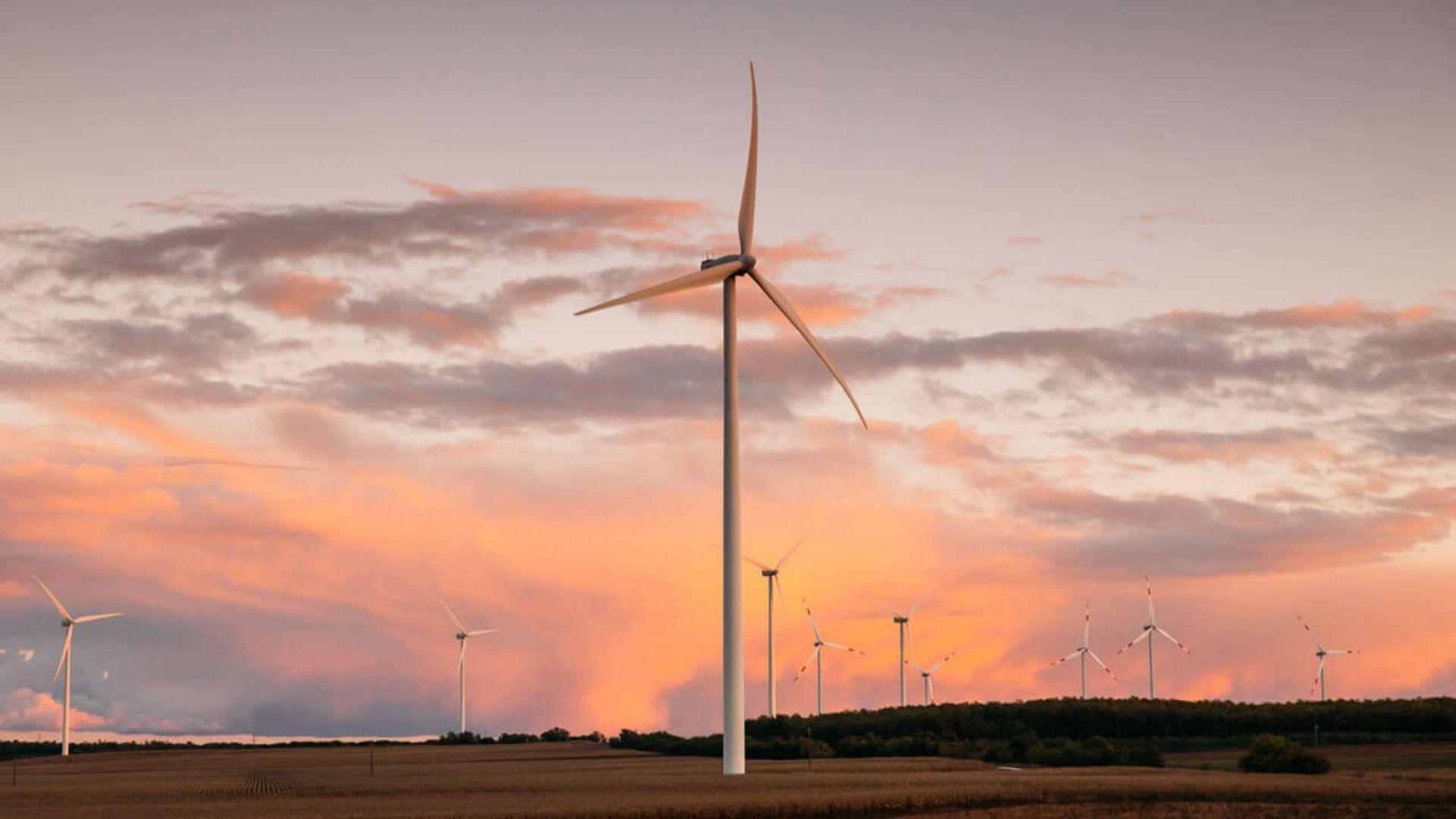 turbine eoliche rivestimenti